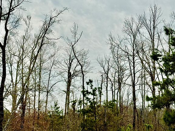 5th image of 283 New Mineral Springs Rd