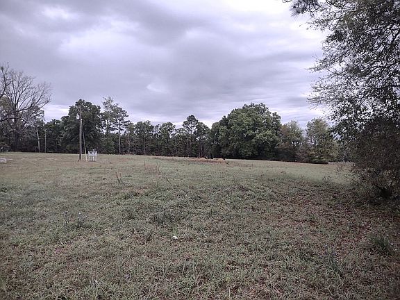 Big yard! 