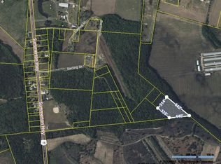 Highway 15 S, Manning, SC 29102