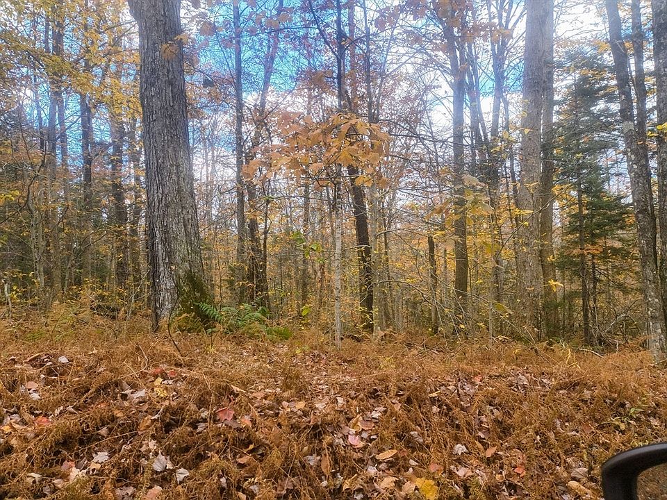 2nd image of 18 Pierce Rd