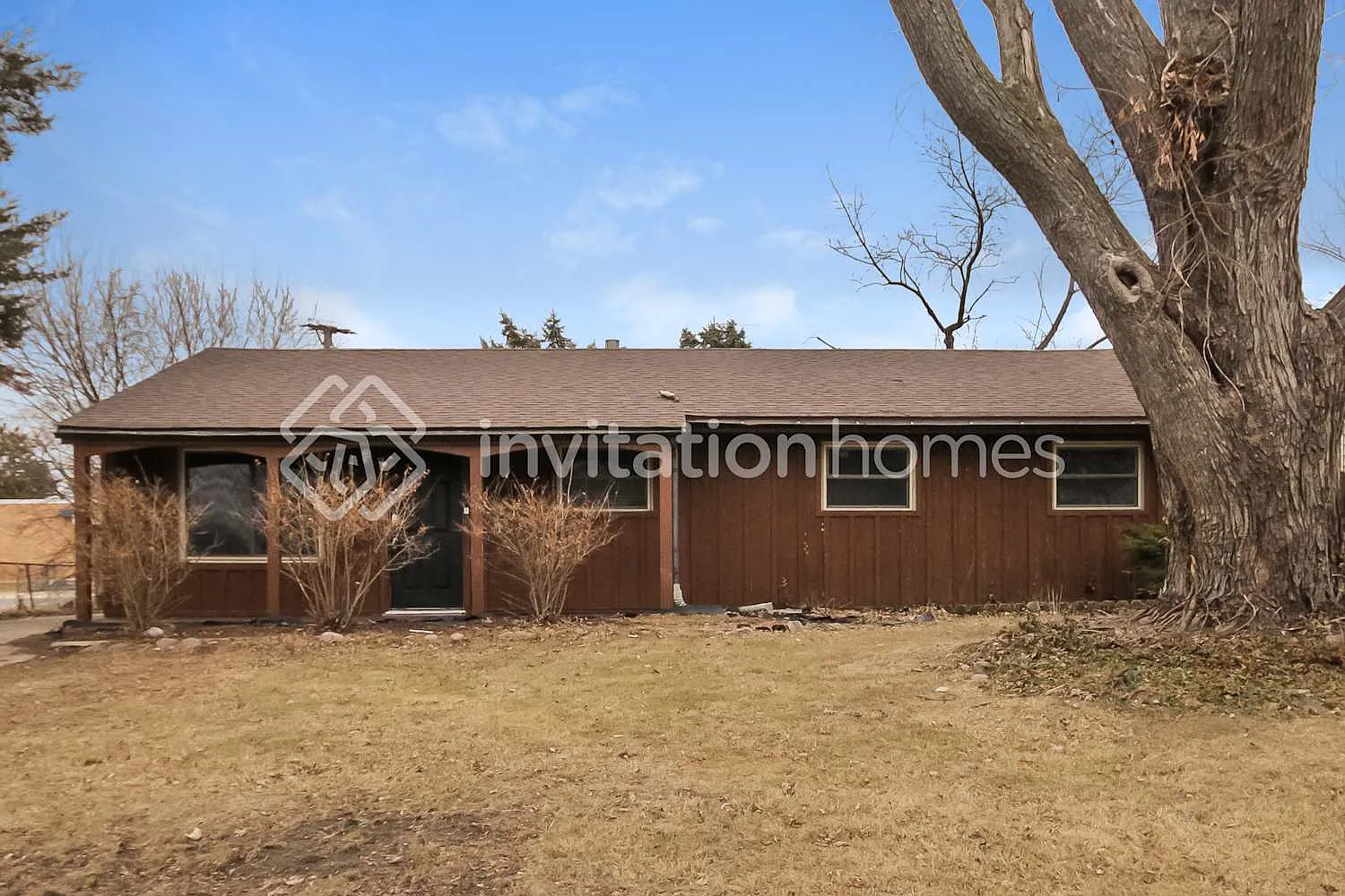 141 Queenswood Rd Bolingbrook, IL 60440 — Photo 1
