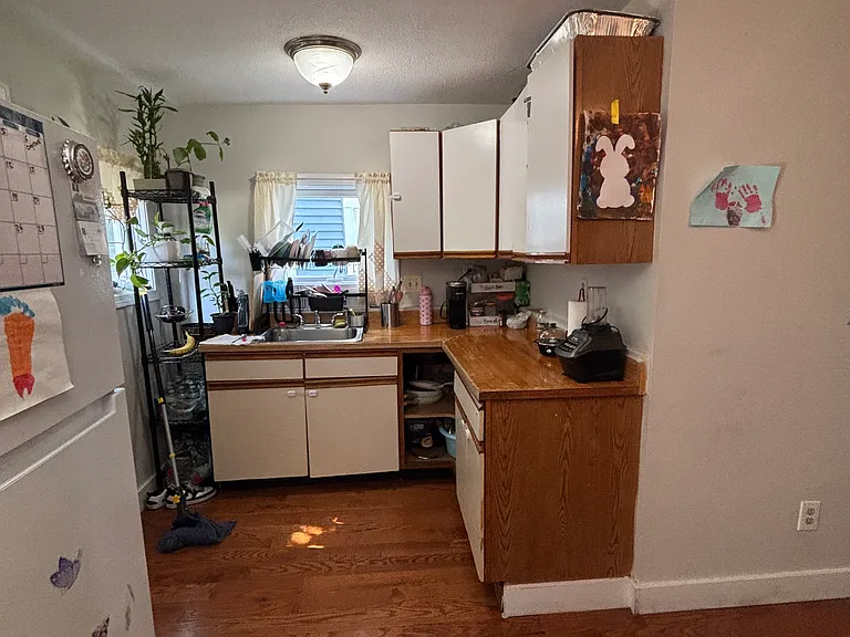 369 Shirley St #2 — Photo 7
