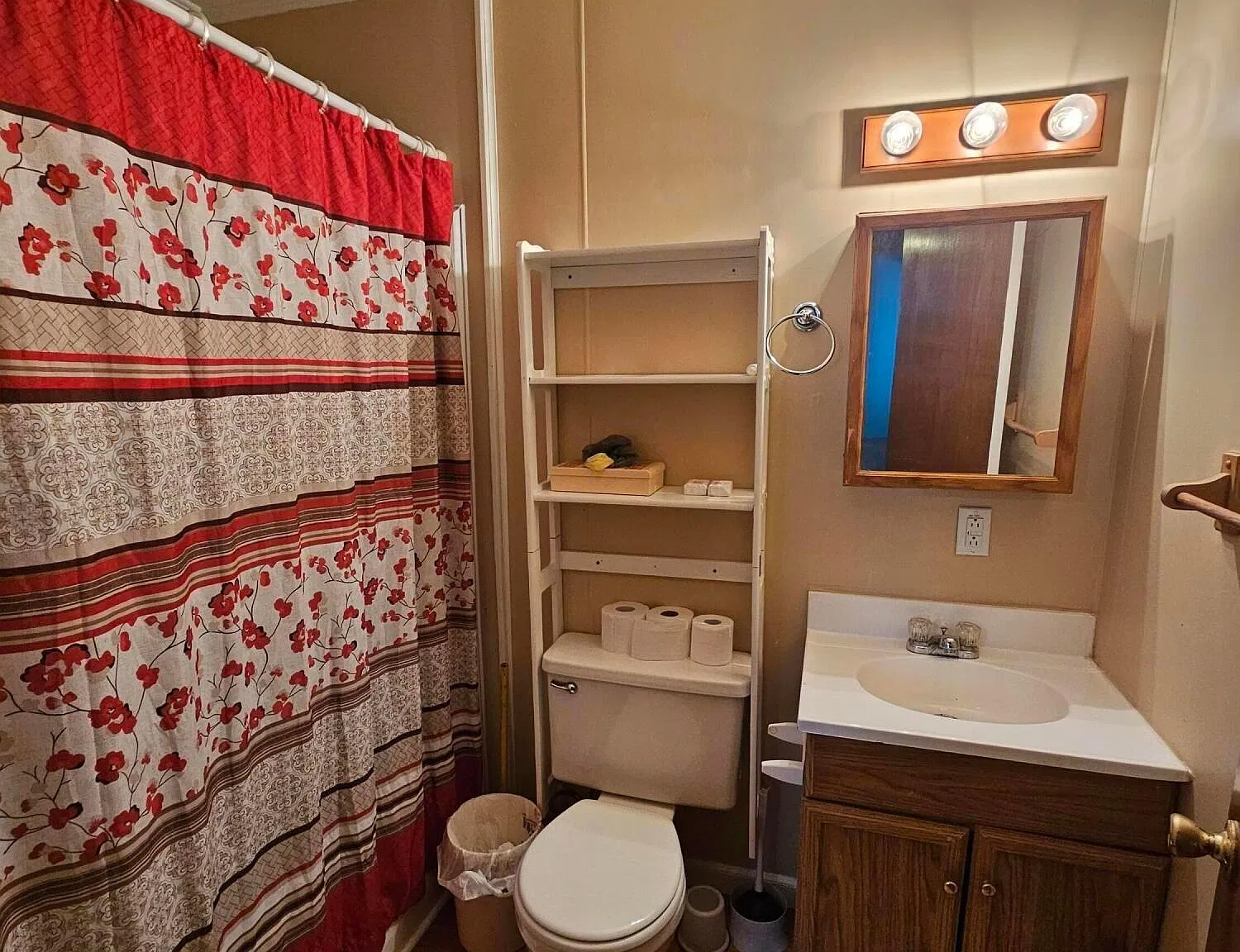 1 bed, 1.0 bath, 500 sqft, $900 — Photo 4
