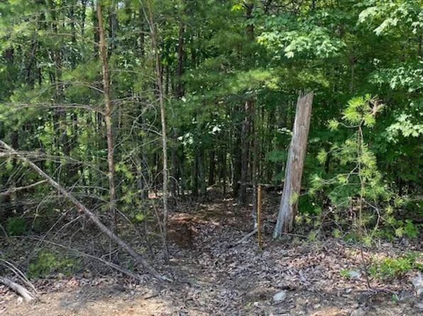 0 Piney Point Rd NE, Spring City, TN 37381