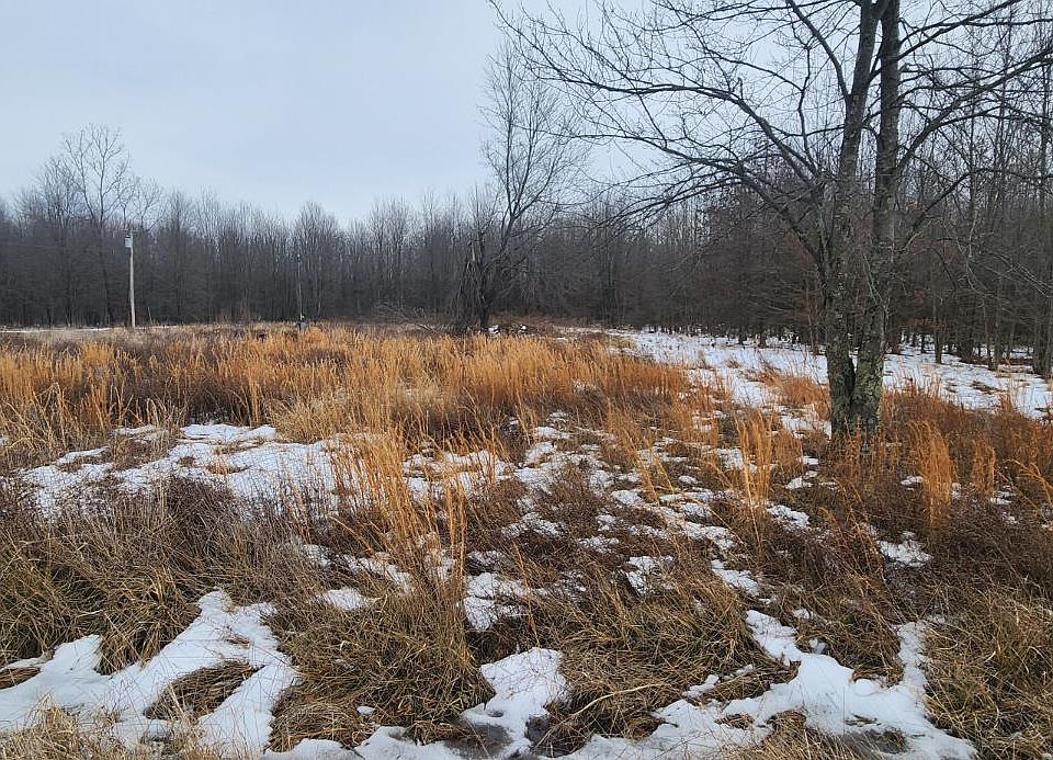 1st image of 1927 Maple Grove Rd Trailer B