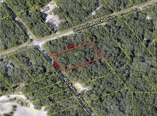 Wickshire St LOT 15, Webster, FL 33597