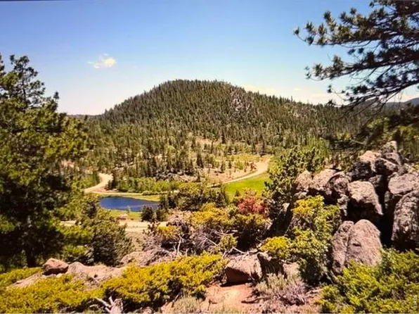 215 Murdock Dr, Red Feather Lakes, CO 80545
