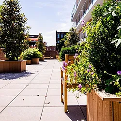 Rented by Nooklyn NYC LLC