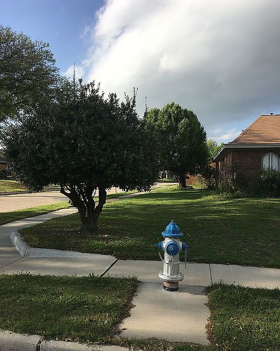 2nd image of 1345 Colmar Dr