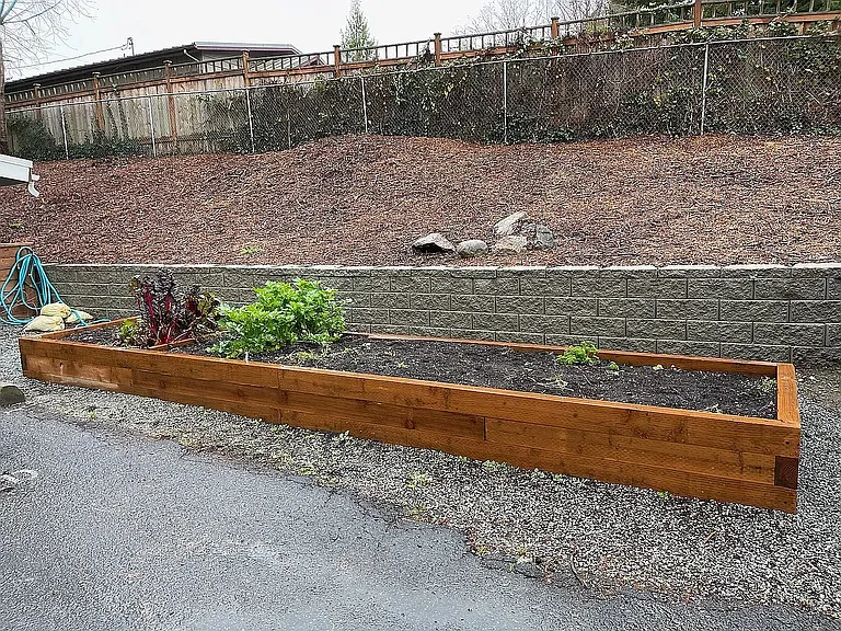 Community garden.
