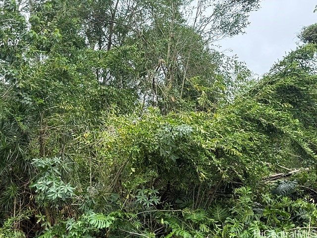 1st image of 15-716 Puni Mauka Loop S