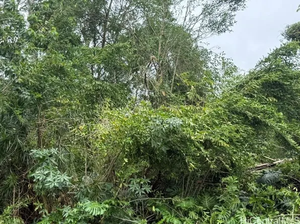 15-716 Puni Mauka Loop S, Pahoa, HI 96778