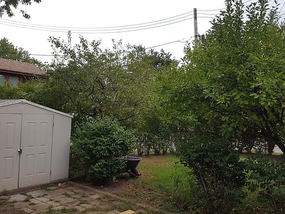 shed & side yard
