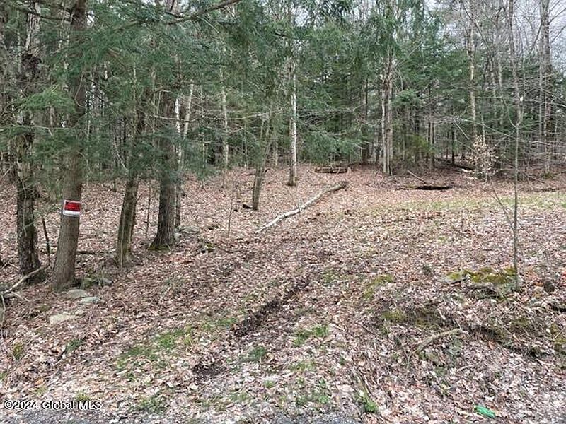 2nd image of 0 Red Pond Road Road