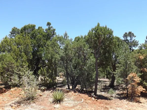 1529 Low Mountain Trl, Heber, AZ 85928