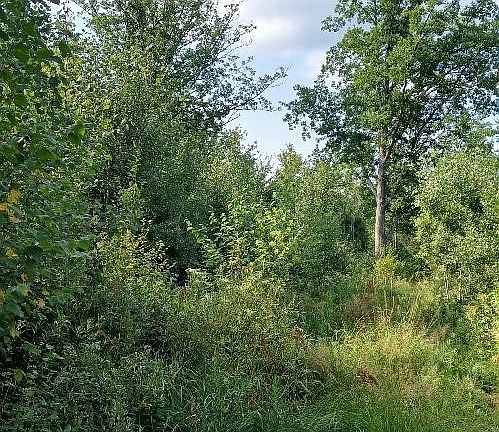 3rd image of 10 Ac River Rd.