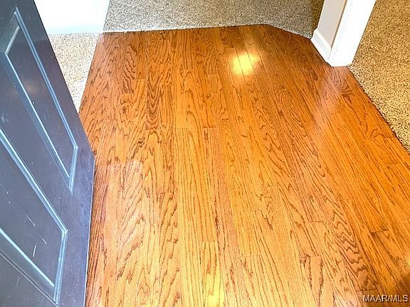 3rd image of 9024 Ashland Park Pl