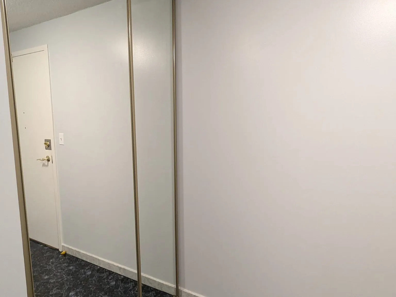 3 bed, $2,600 — Photo 4