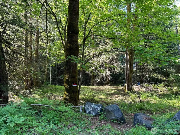 501 N Olympic Trails, Lilliwaup, WA 98555