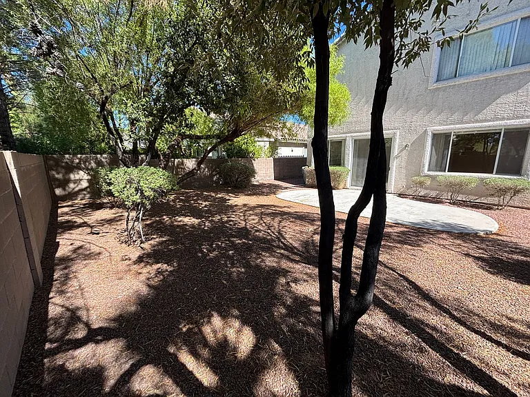 10319 Splendor Ridge Ave — Photo 14