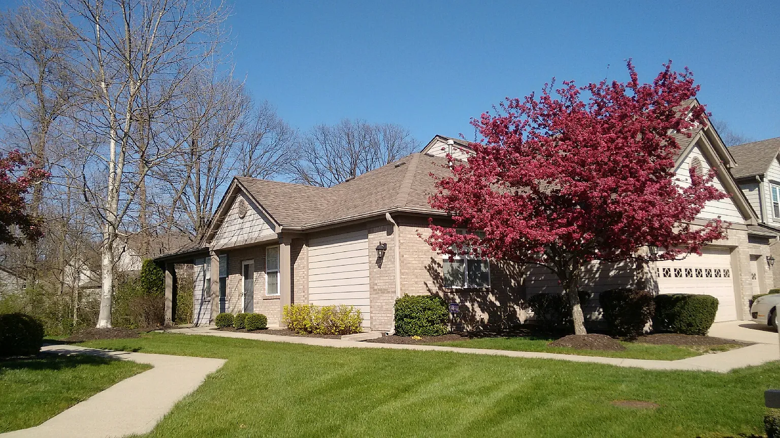 9176 Wadsworth Ct photo 1