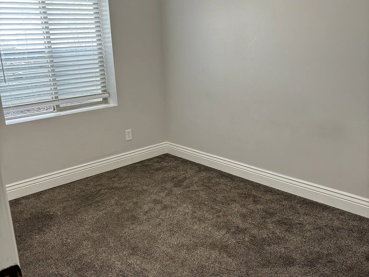 1771 Basement with Private Entrance — Photo 1