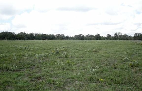 Peaceful Country Setting