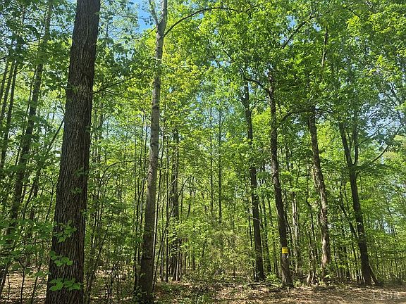 3rd image of 0 Greenfield Dr Lot 20