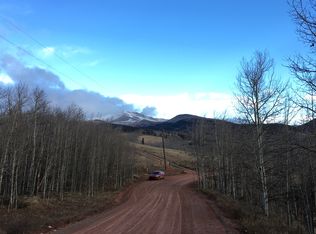 396 Iron Mtn, Fairplay, CO 80440