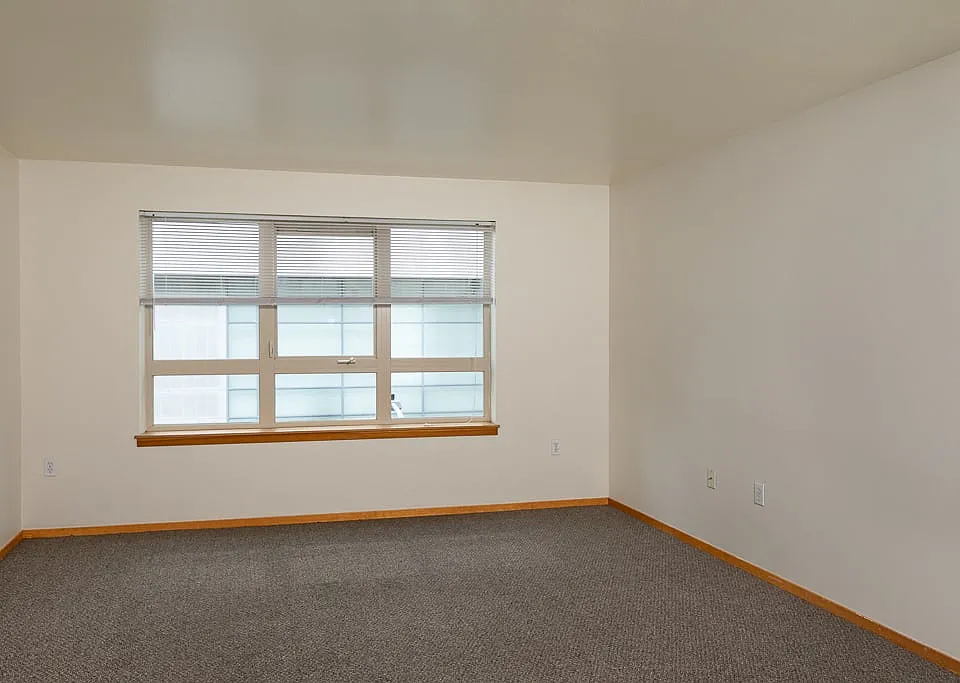 Large Windows for Natural Light with Window Coverings
