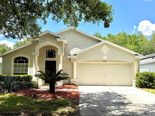 10450 Lucaya Dr, Tampa, FL 33647
