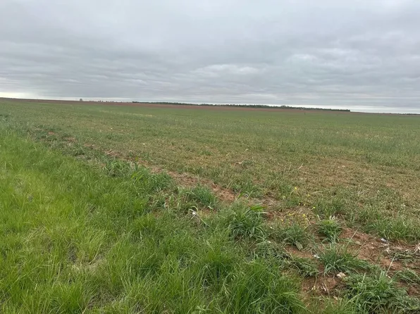 Fm 1812 #1, Merkel, TX 79536