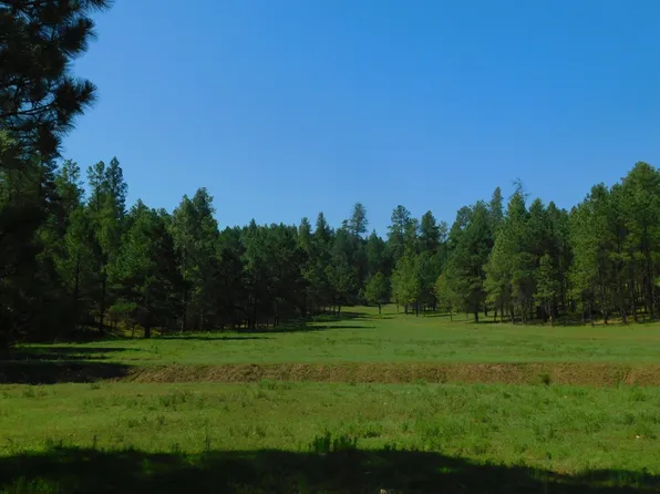 995 Pinon Draw, Pinon, NM 88344