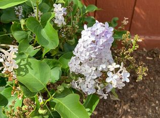 5357 Perry St, Denver, CO 80212