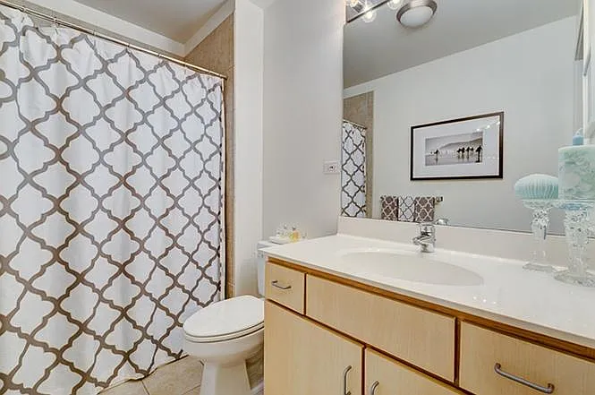 630 N Franklin St #811 — Photo 20