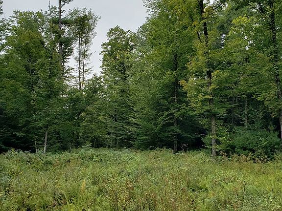 3rd image of 613 County Highway 138