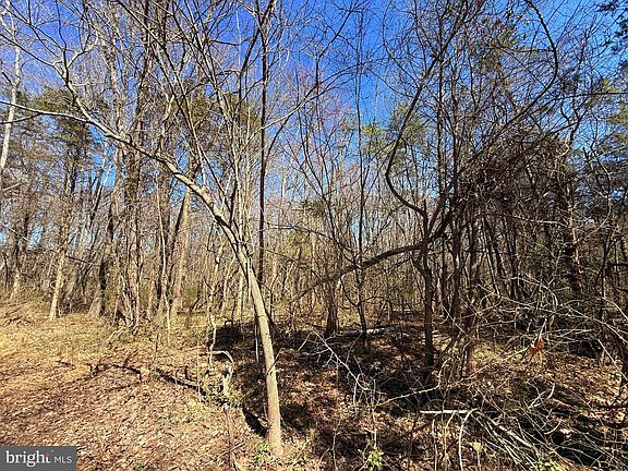 3rd image of 15017 Lee Hwy
