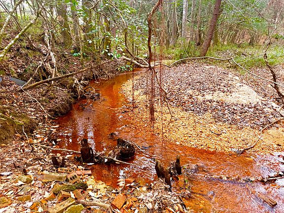 2nd image of 2181 Birch Rd