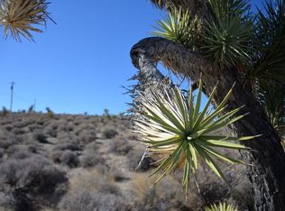 27385 N Tamarisk St, Meadview, AZ 86444