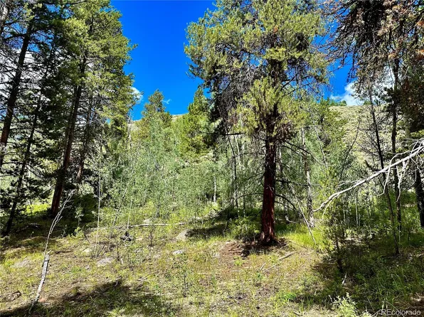 13776 Zion #3, Leadville, CO 80461