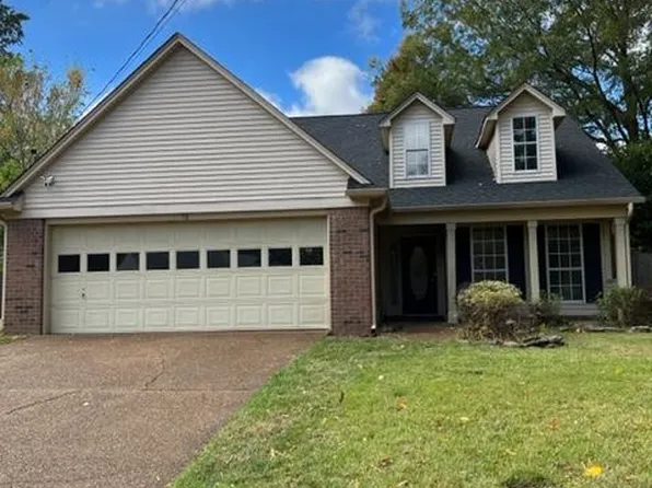 58 McLean Cv, Jackson, TN 38305