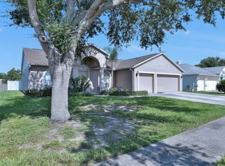 9817 La Rita Pl, Riverview, FL 33569