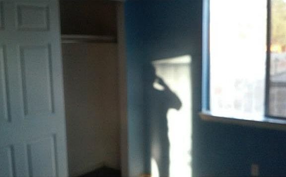 5th image of 939 Madtone Dr