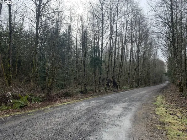 NE 84th Ave, Battle Ground, WA 98604