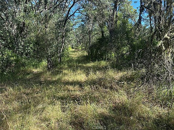 5th image of 2995 Hill Rd