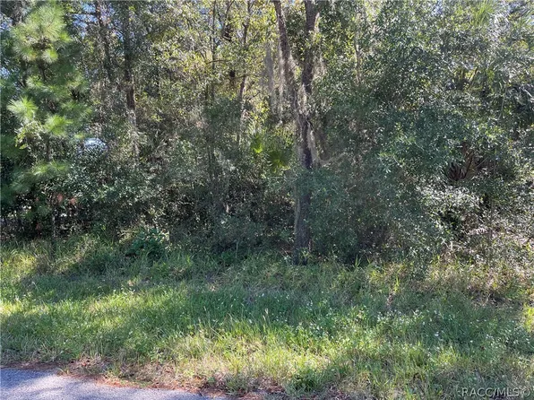 623 N Venturi Ave, Crystal River, FL 34429