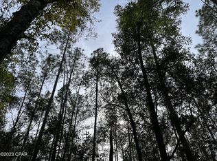 0 Bush Rd, Bonifay, FL 32425