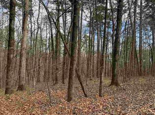 25 Propio Way, Hot Springs Village, AR 71909