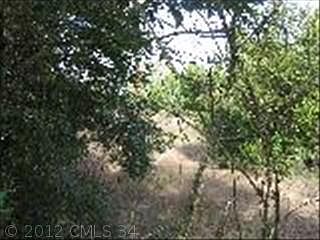 2nd image of 114 Jim Clark Rd