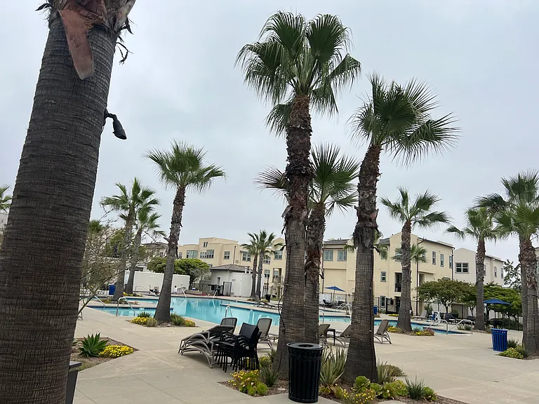 5200 Beachside Ln #113 — Photo 18